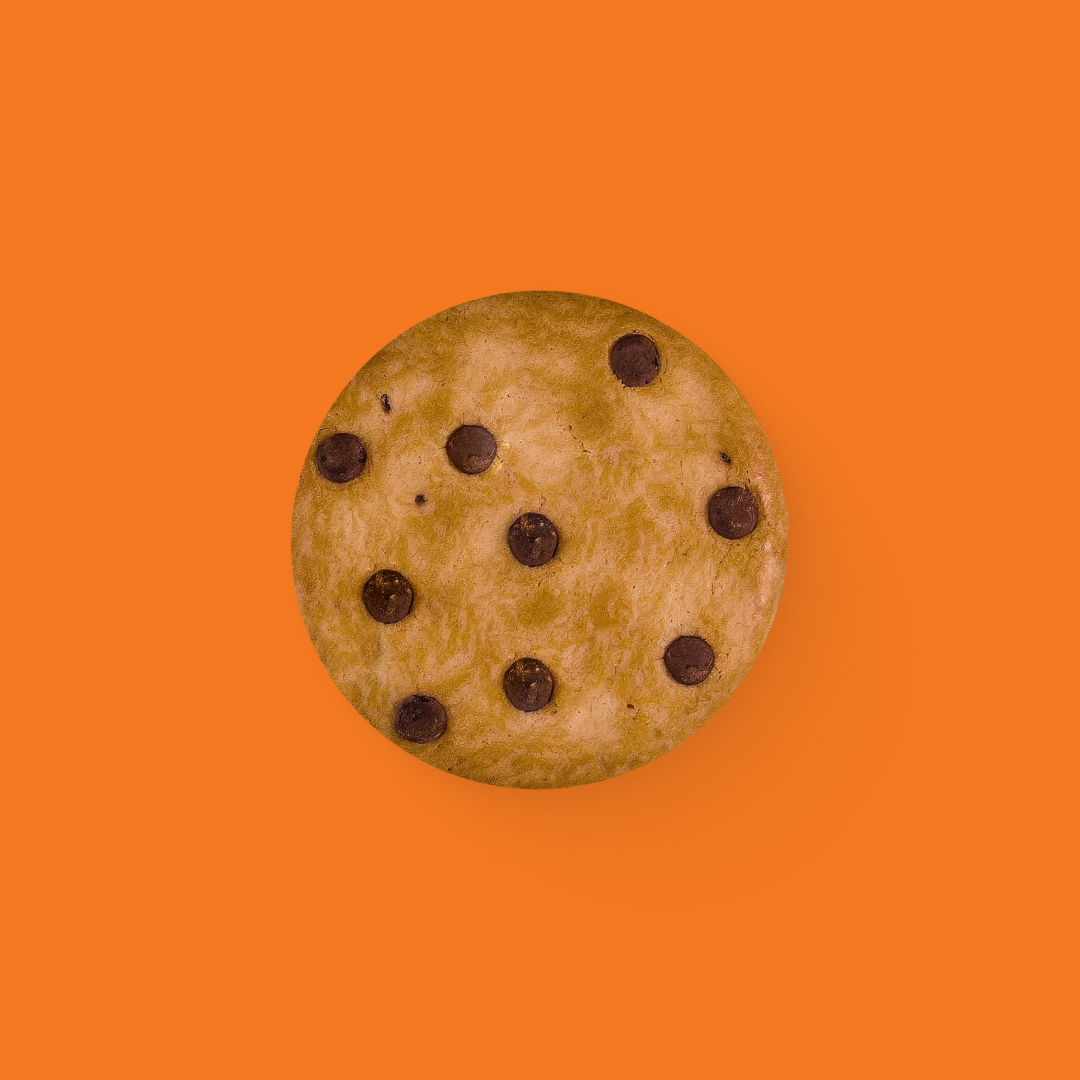 Homemade Chocolate Chip Cookie